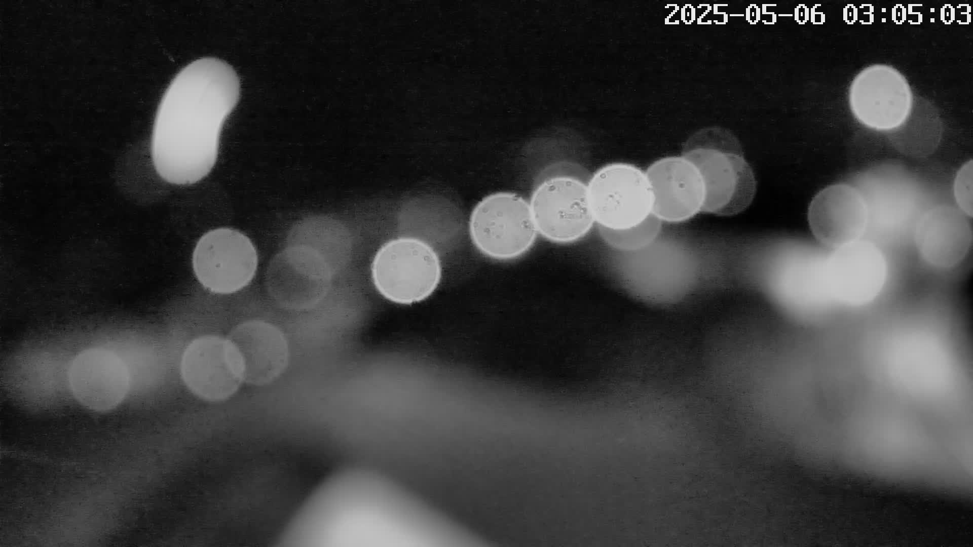 webcam